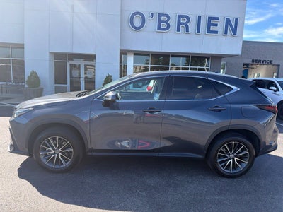 2024 Lexus NX 250 Premium