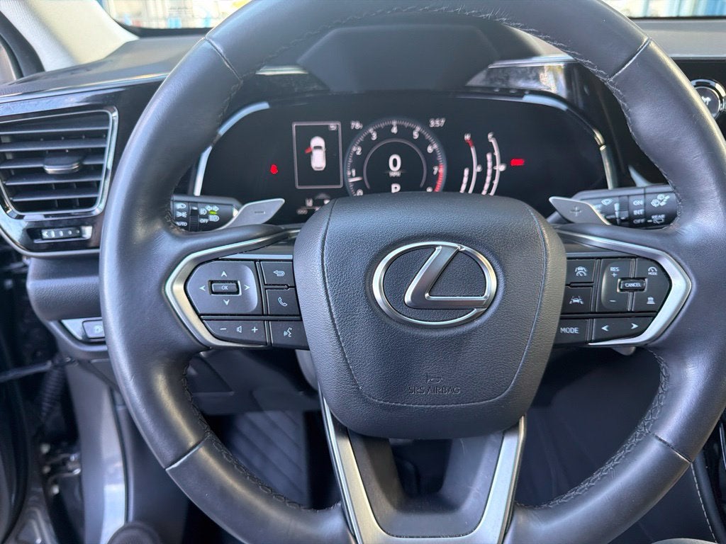 2024 Lexus NX 250 Premium