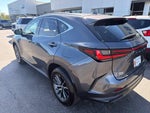 2024 Lexus NX 250 Premium
