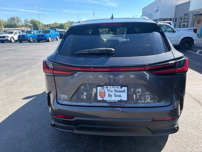2024 Lexus NX 250 Premium