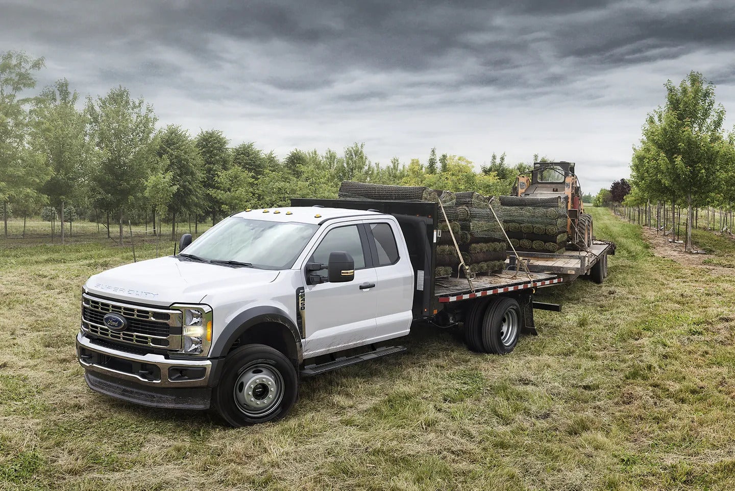 Commercial Ford